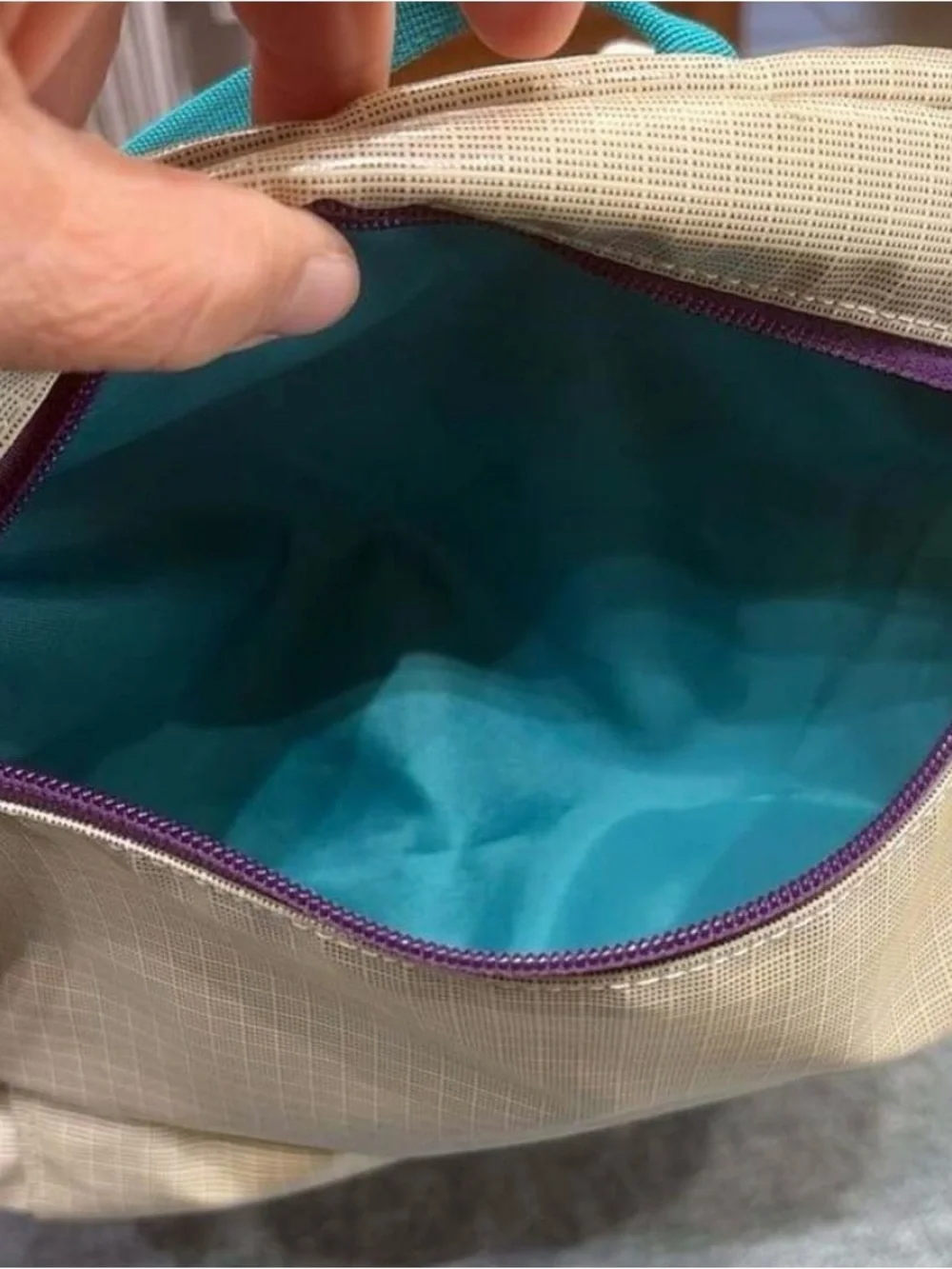 Retired Patagonia White Backpack with Purple & Teal Accents